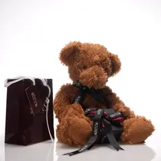 Teddy bear package