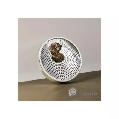 Leopard camouflage of name 3 OZ silver coin - Image 3